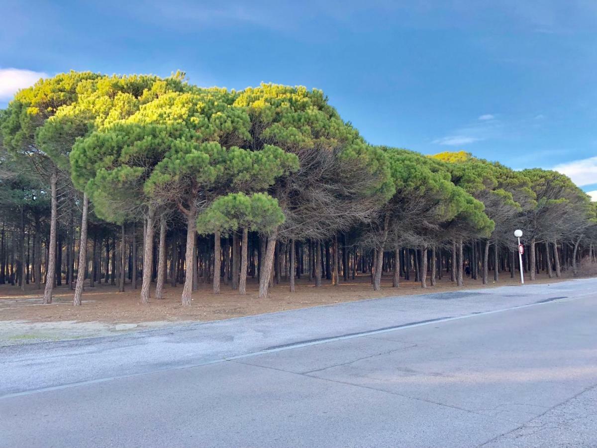 Barcaresa-Villa Vue Mer Acces Direct Plage - Piscine Le Barcarès Kültér fotó